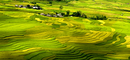 The most beautiful terrace fields in the Northwestern region